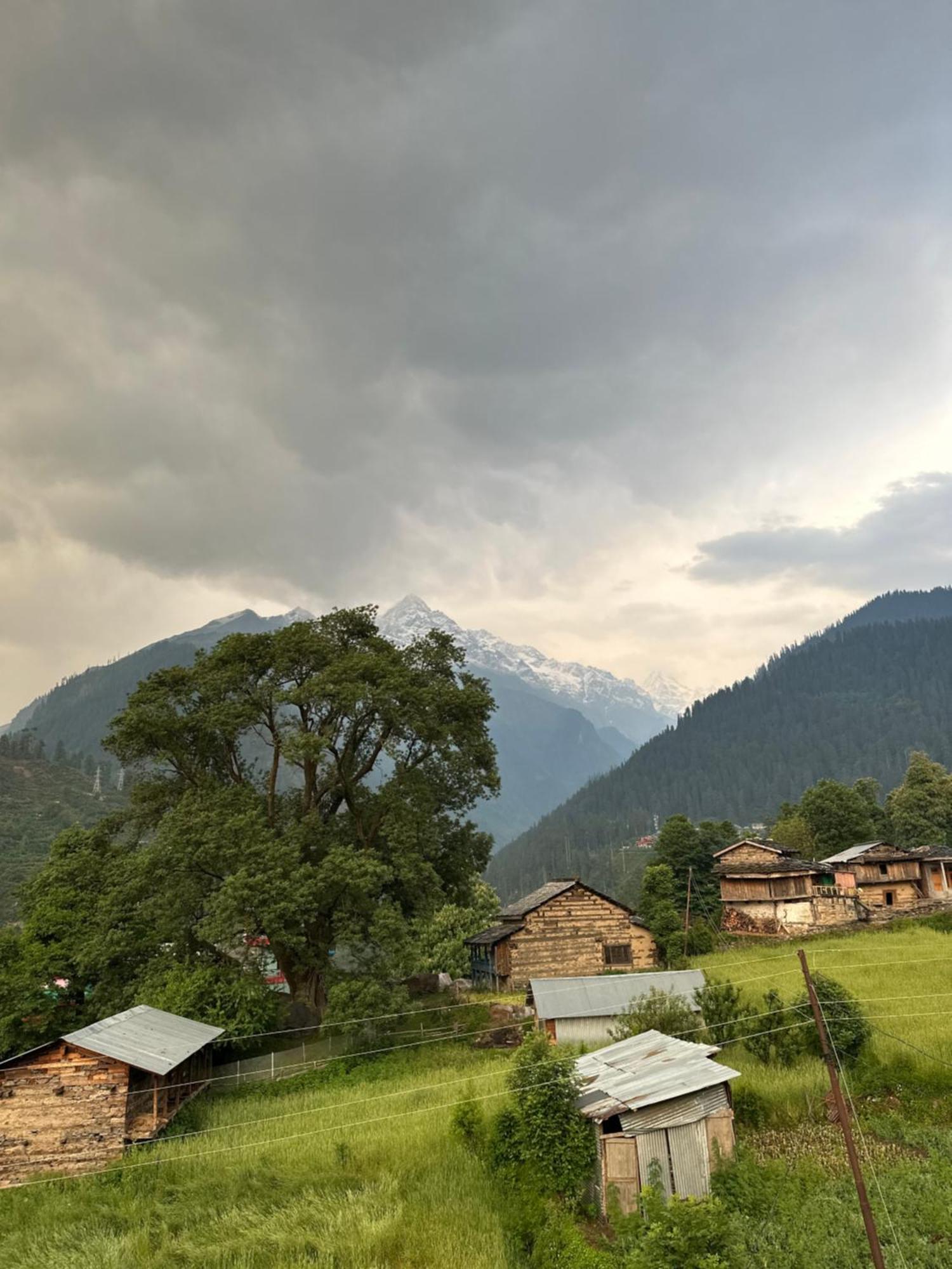 Pahadirovers Homestay & Cafe Kasol Zewnętrze zdjęcie